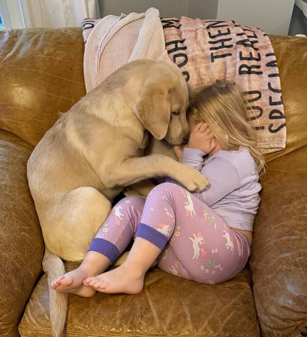 A child resting against a calm Labrador on a couch